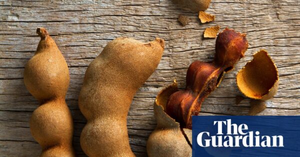 Sour Power: How to Use Tamarind Pods, Pulp and I -Paste | Herbs and spices